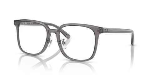 RB5419 OPTICS