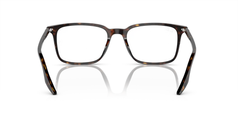 RB5421 OPTICS