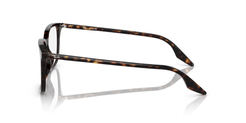 RB5421 OPTICS
