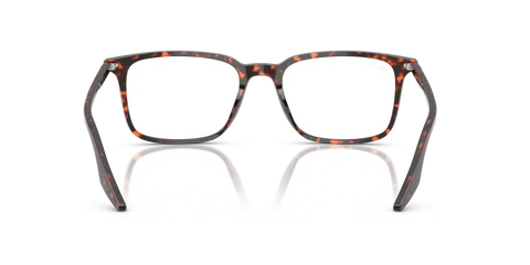 RB5421 OPTICS