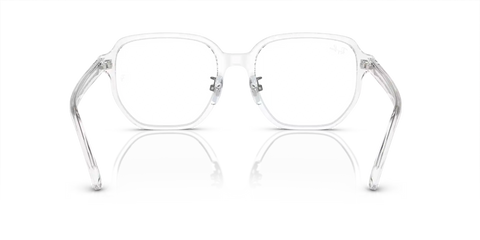 RB5424D OPTICS