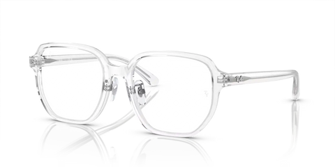 RB5424D OPTICS