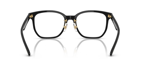 RB5425D OPTICS YEAR OF THE SNAKE EDITION