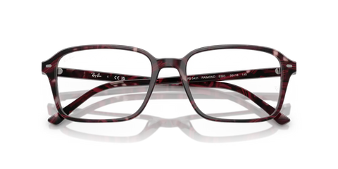RAIMOND OPTICS