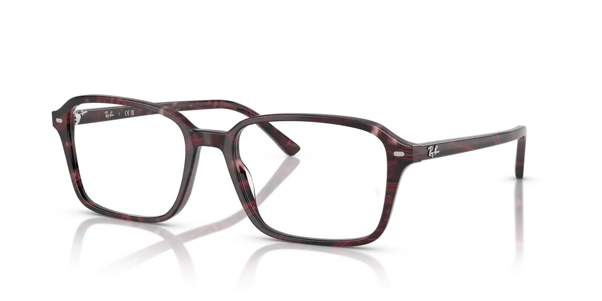 RAIMOND OPTICS