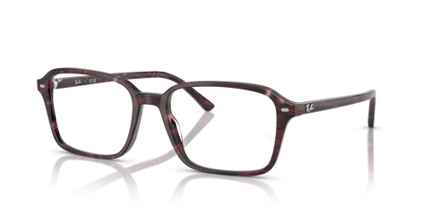 RAIMOND OPTICS