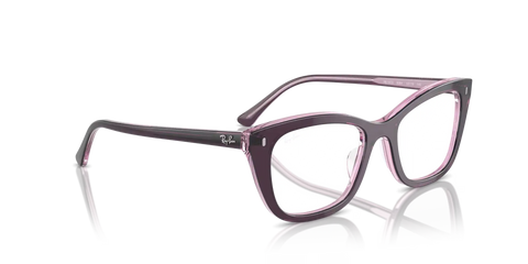 RB5433 OPTICS