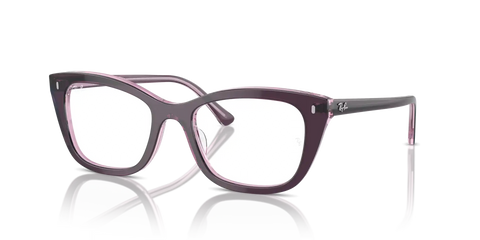 RB5433 OPTICS