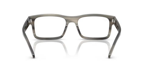 RB5435 OPTICS
