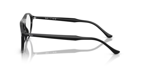RB5441 OPTICS