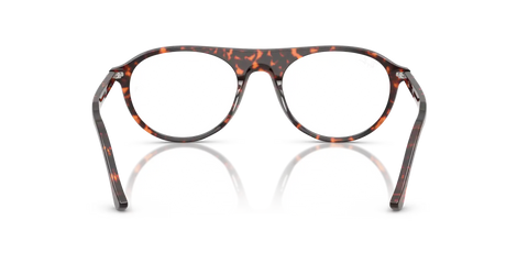 RB5441 OPTICS