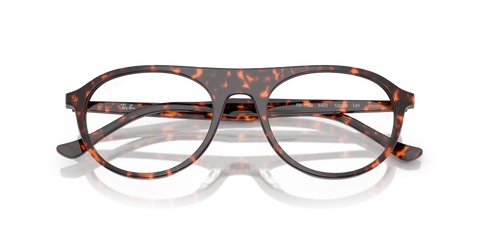 RB5441 OPTICS
