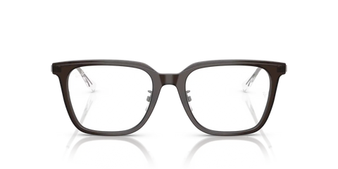 RB5442D OPTICS