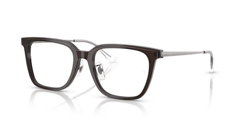 RB5442D OPTICS