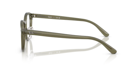 RB5443D OPTICS