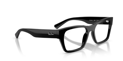 RB5448 OPTICS