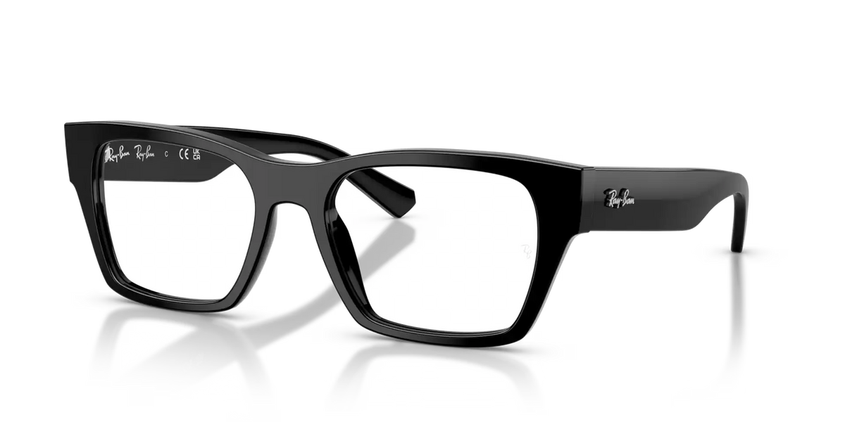 RB5448 OPTICS