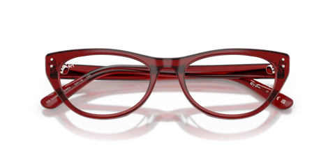 RB5449D OPTICS
