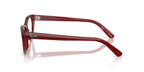 RB5449D OPTICS