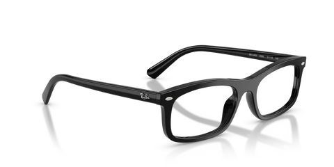 RB5450 OPTICS