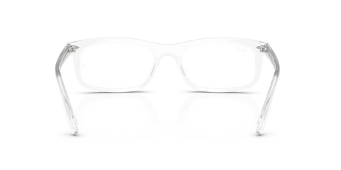 RB5450 OPTICS