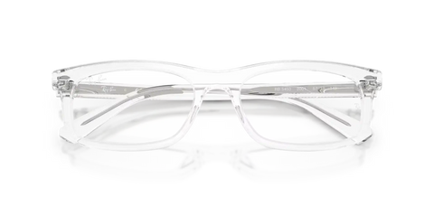 RB5450 OPTICS