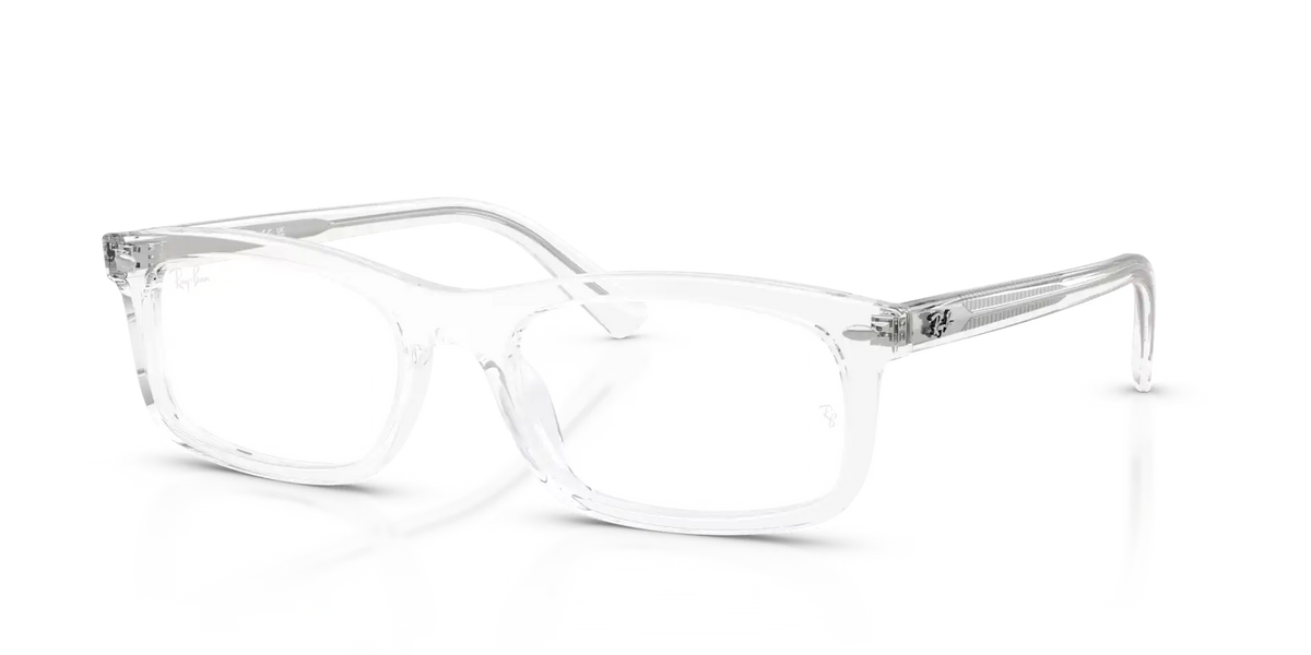 RB5450 OPTICS