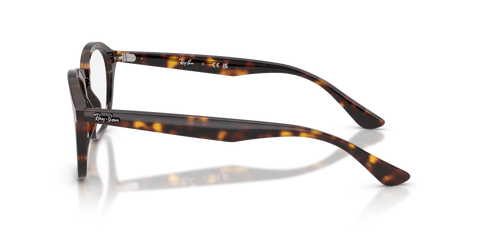 RB5451 OPTICS