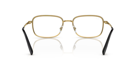 RB6495 OPTICS