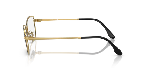 RB6495 OPTICS