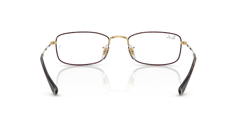 RB6647 OPTICS