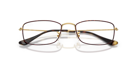 RB6647 OPTICS