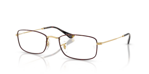 RB6647 OPTICS