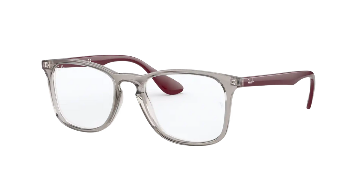 RB7074 OPTICS