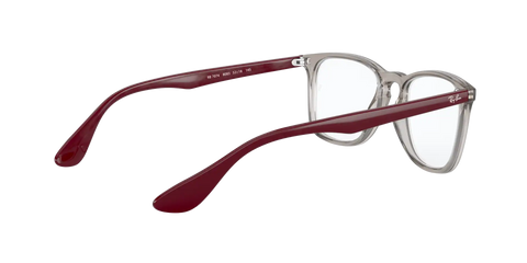 RB7074 OPTICS