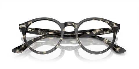 LARRY OPTICS