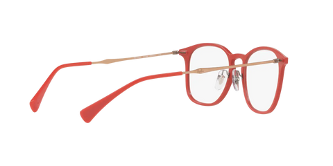 RB8954 OPTICS